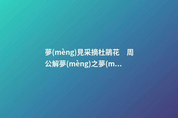夢(mèng)見采摘杜鵑花　周公解夢(mèng)之夢(mèng)到采摘杜鵑花